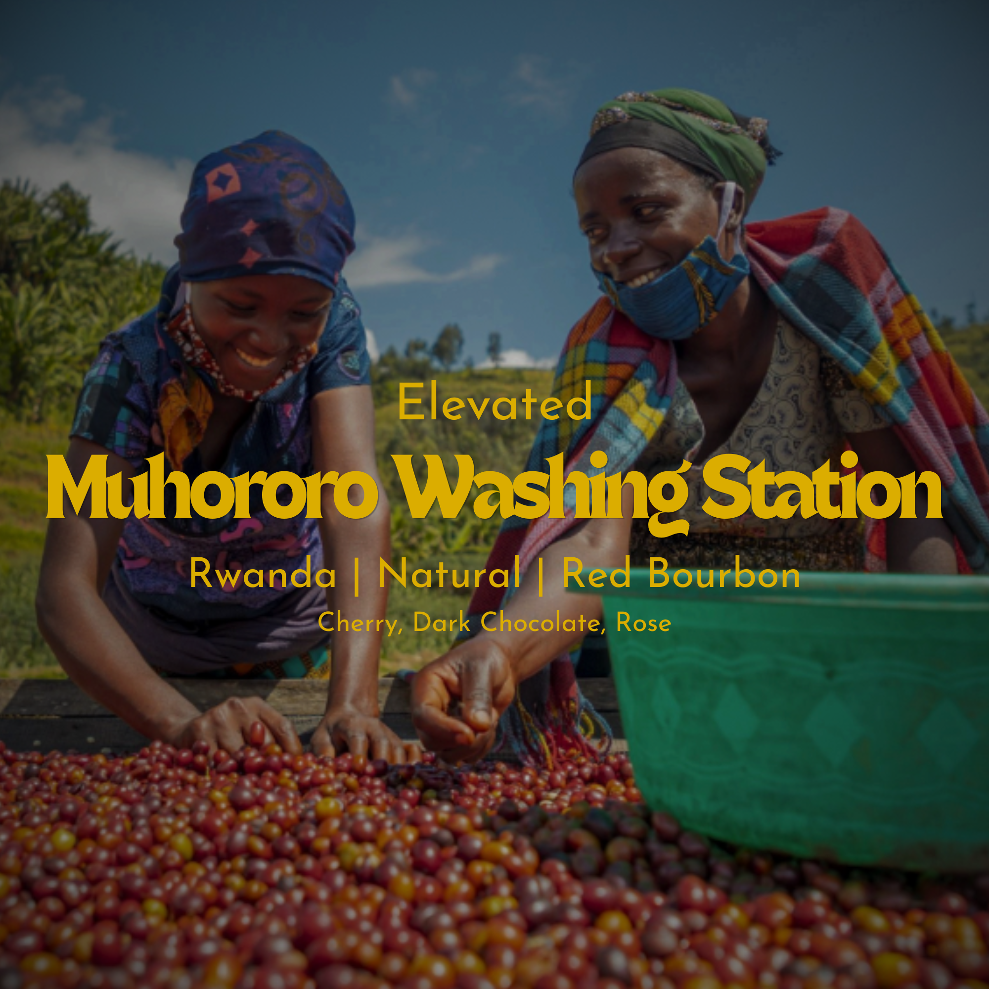 Muhororo Washing Station - Nyamasheke, Rwanda - Natural Red Bourbon