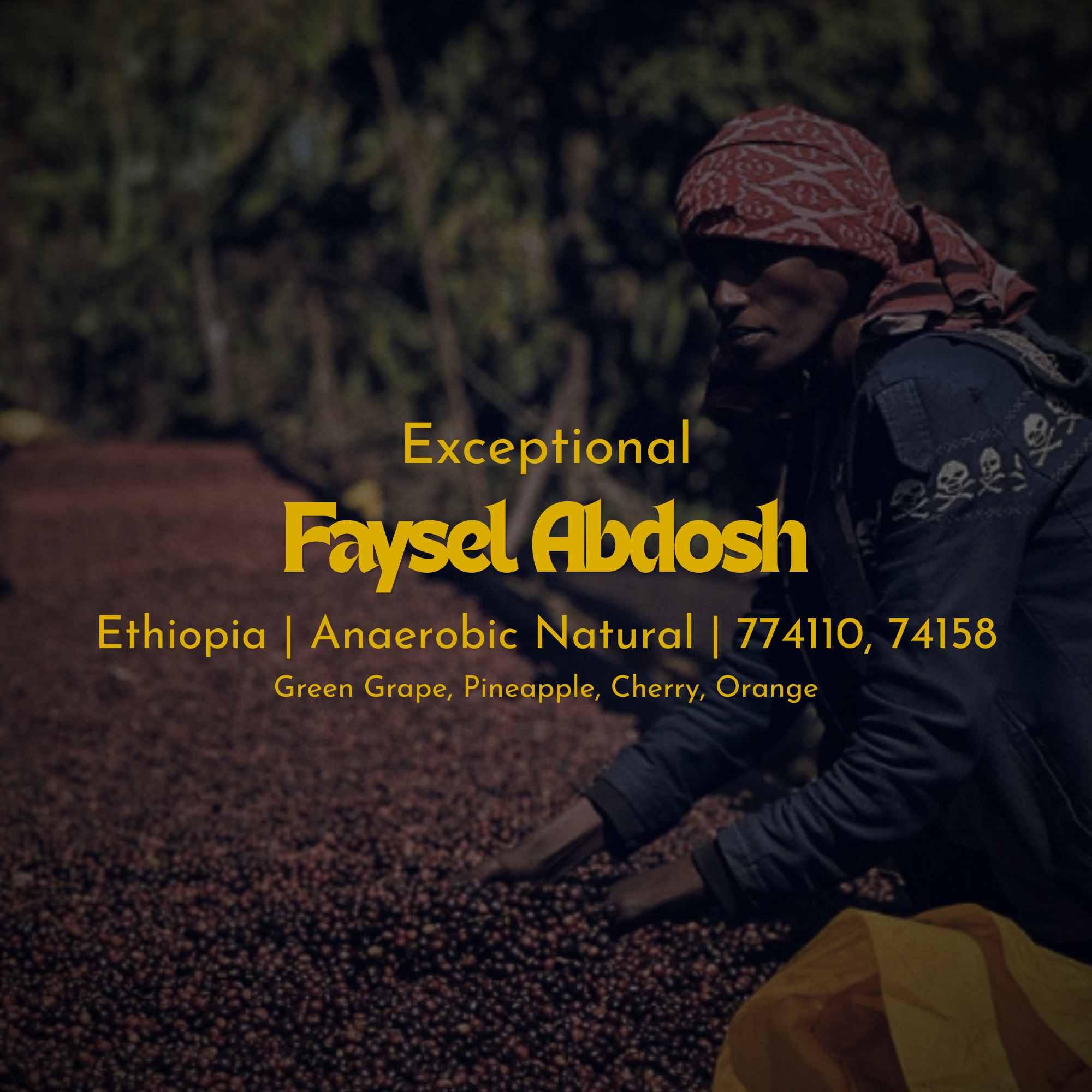 Faysel Abdosh - Ethiopia - Anaerobic Natural 774110, 74158