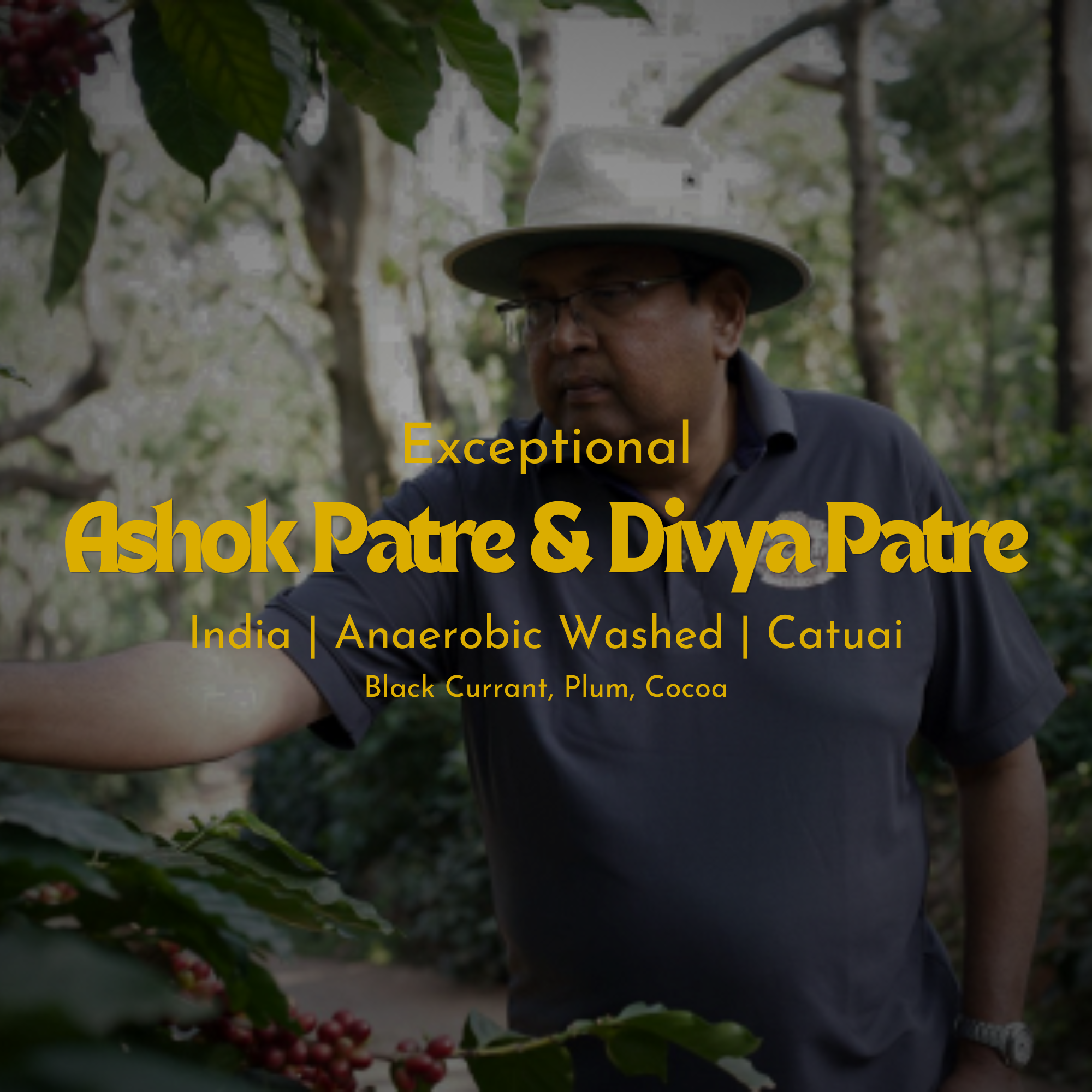 Ashok Patre & Divya Patre - India - Anaerobic Washed Catuai