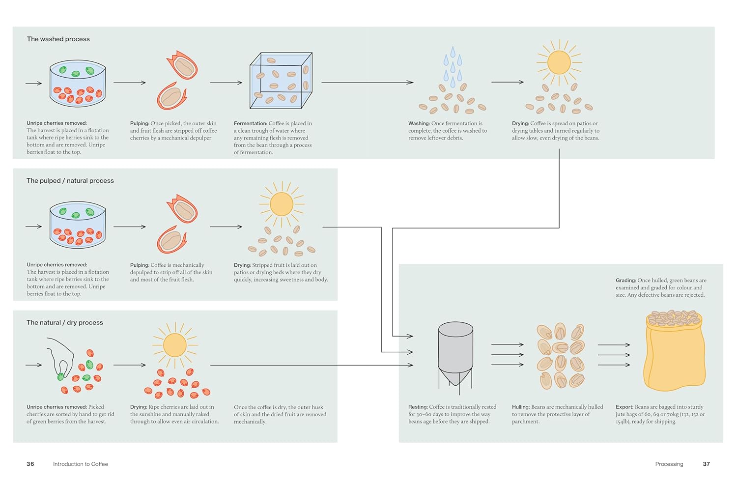 The World Atlas of Coffee Second Edition by James Hoffmann