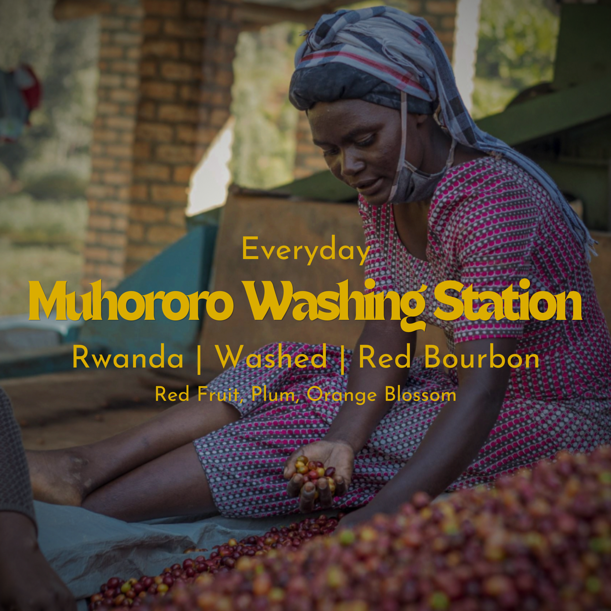 Muhororo Washing Station - Rwanda - Washed Red Bourbon