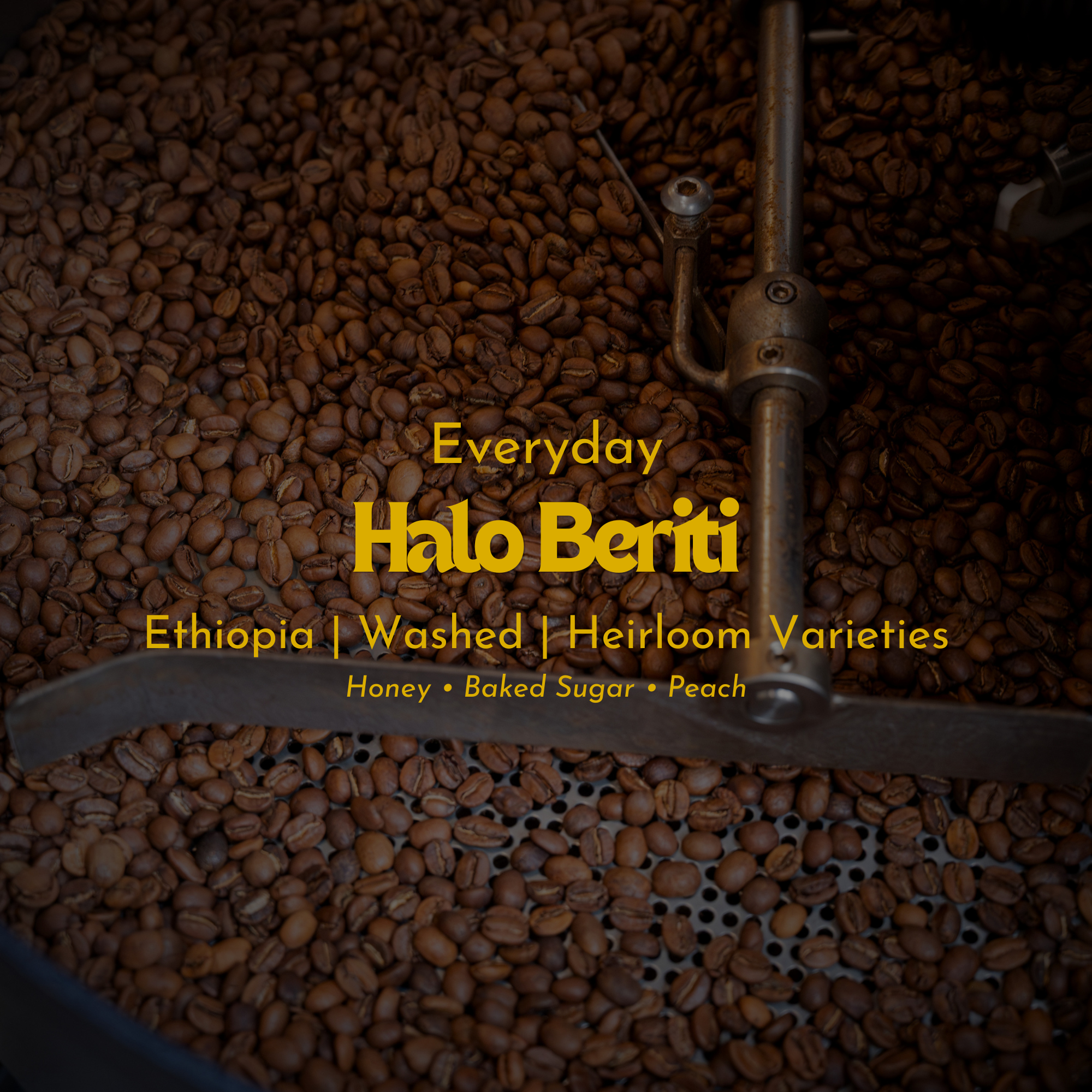 Halo Beriti - Ethiopia - Washed Heirloom Varieties