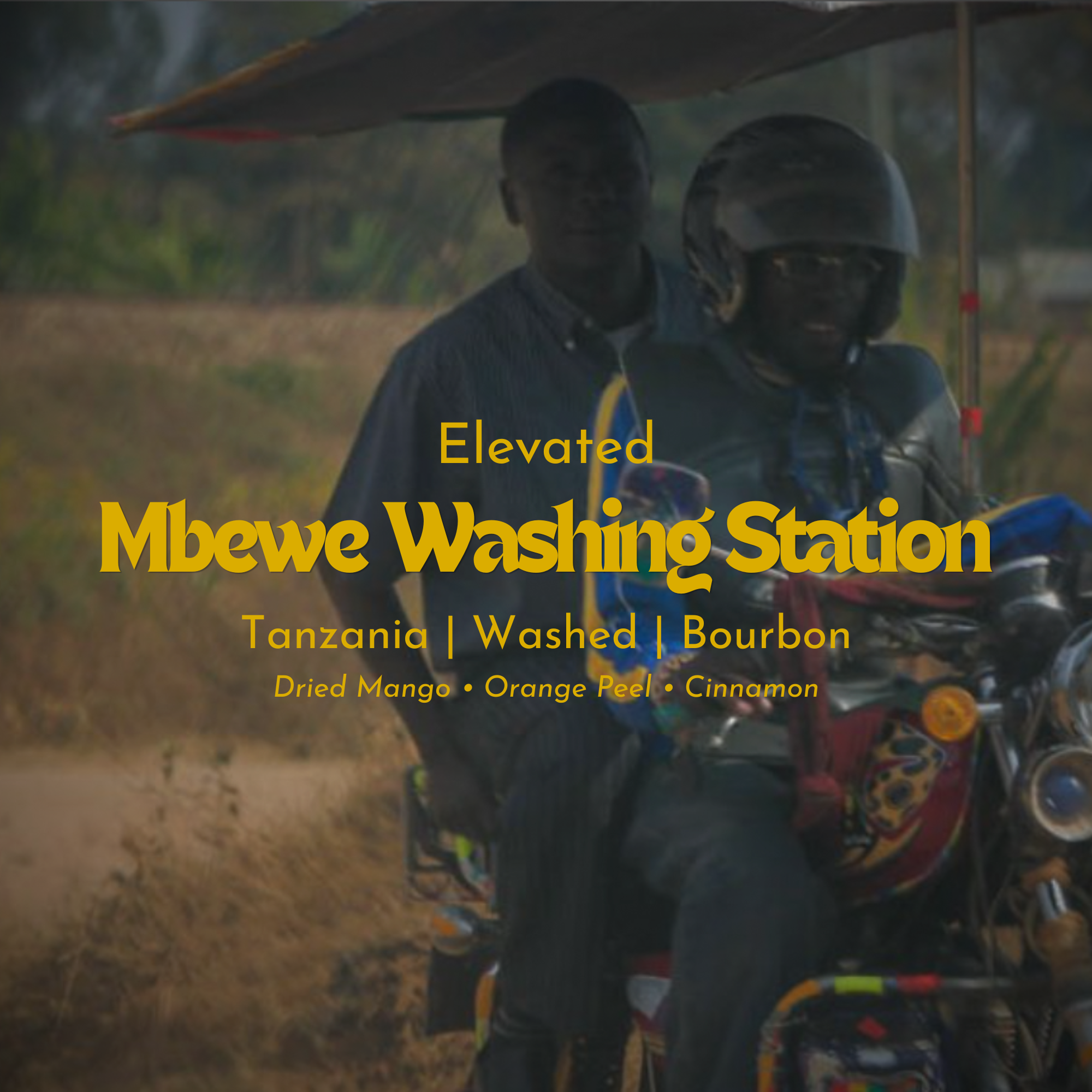 Mbewe Washing Station - Tanzania -  Washed Bourbon