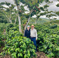 Los Primos - Nicaragua - Washed Parainema