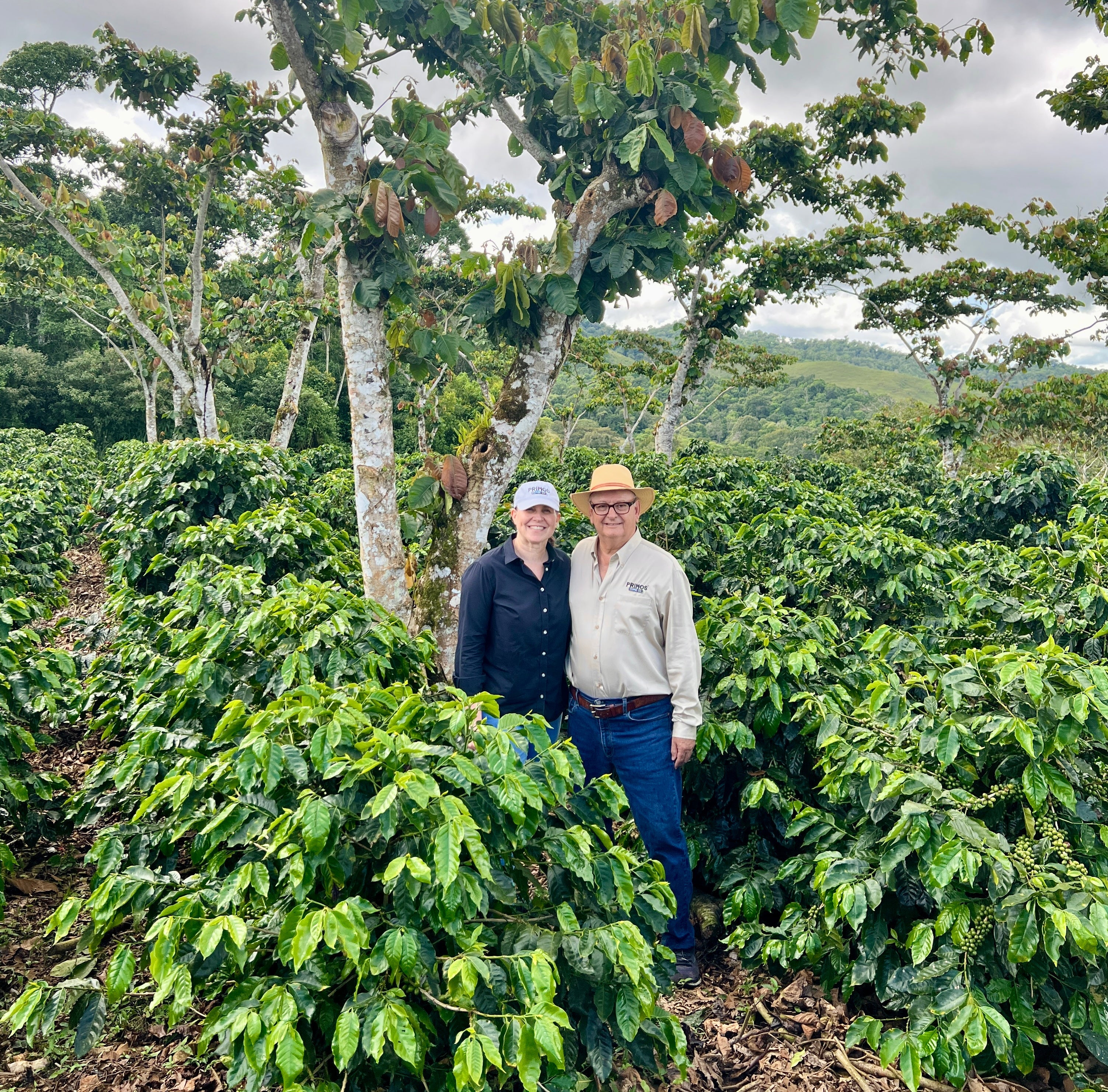 Los Primos - Nicaragua - Washed Parainema