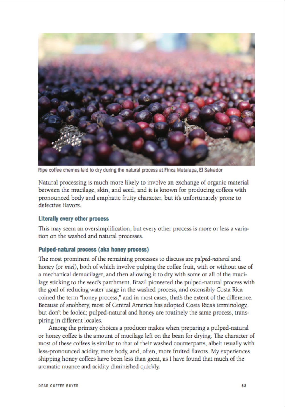 Dear Coffee Buyer: A Guide to Sourcing Green Coffee by Ryan Brown