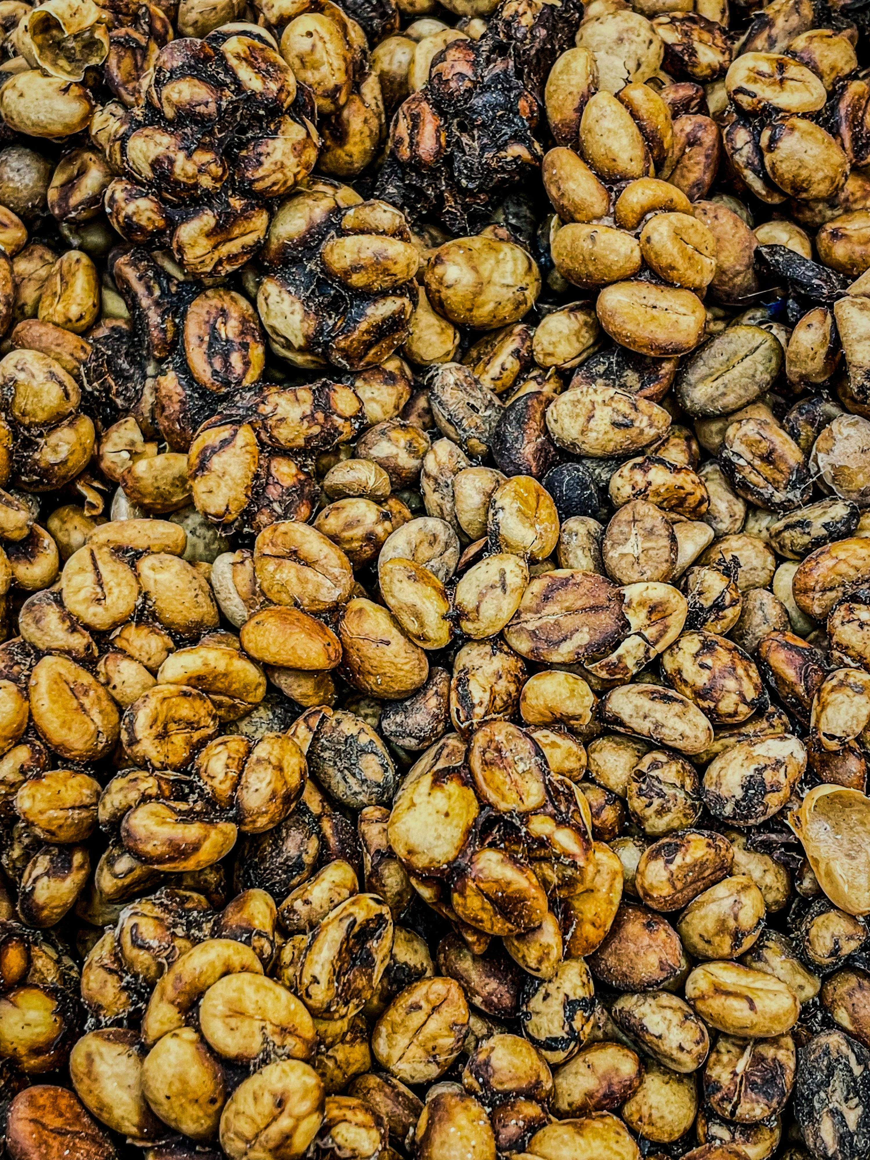 Photo by Bernd Dittrich on Unsplash