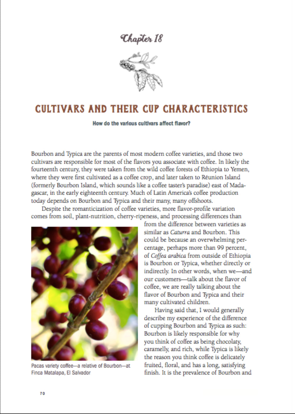 Dear Coffee Buyer: A Guide to Sourcing Green Coffee by Ryan Brown