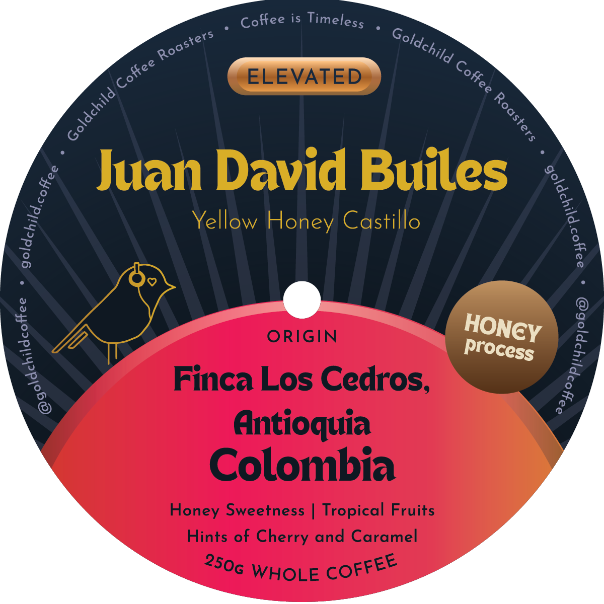 Juan David Builes – Yellow Honey Castillo - Colombia