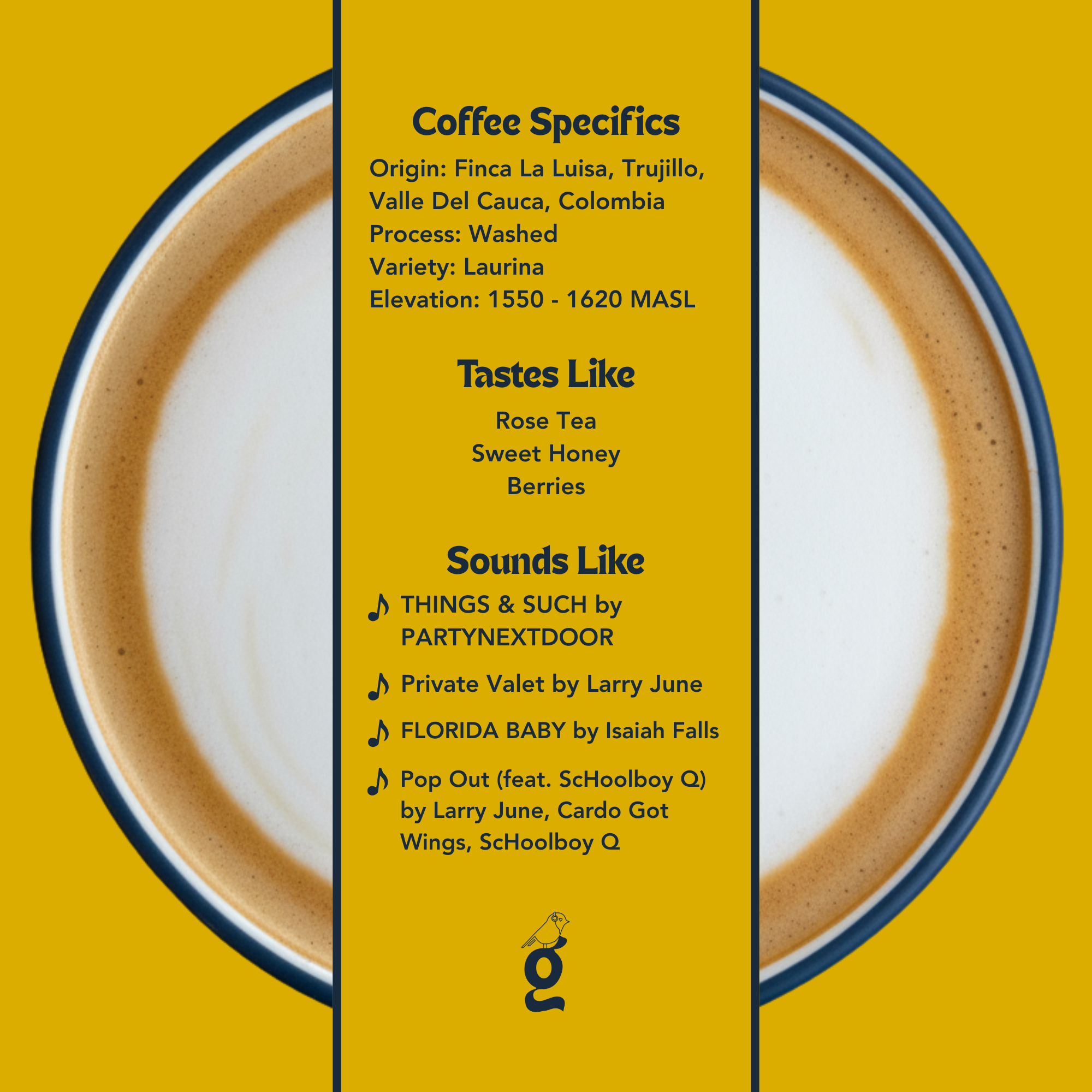 Luis Ernesto Guzmán – Washed Laurina - Colombia