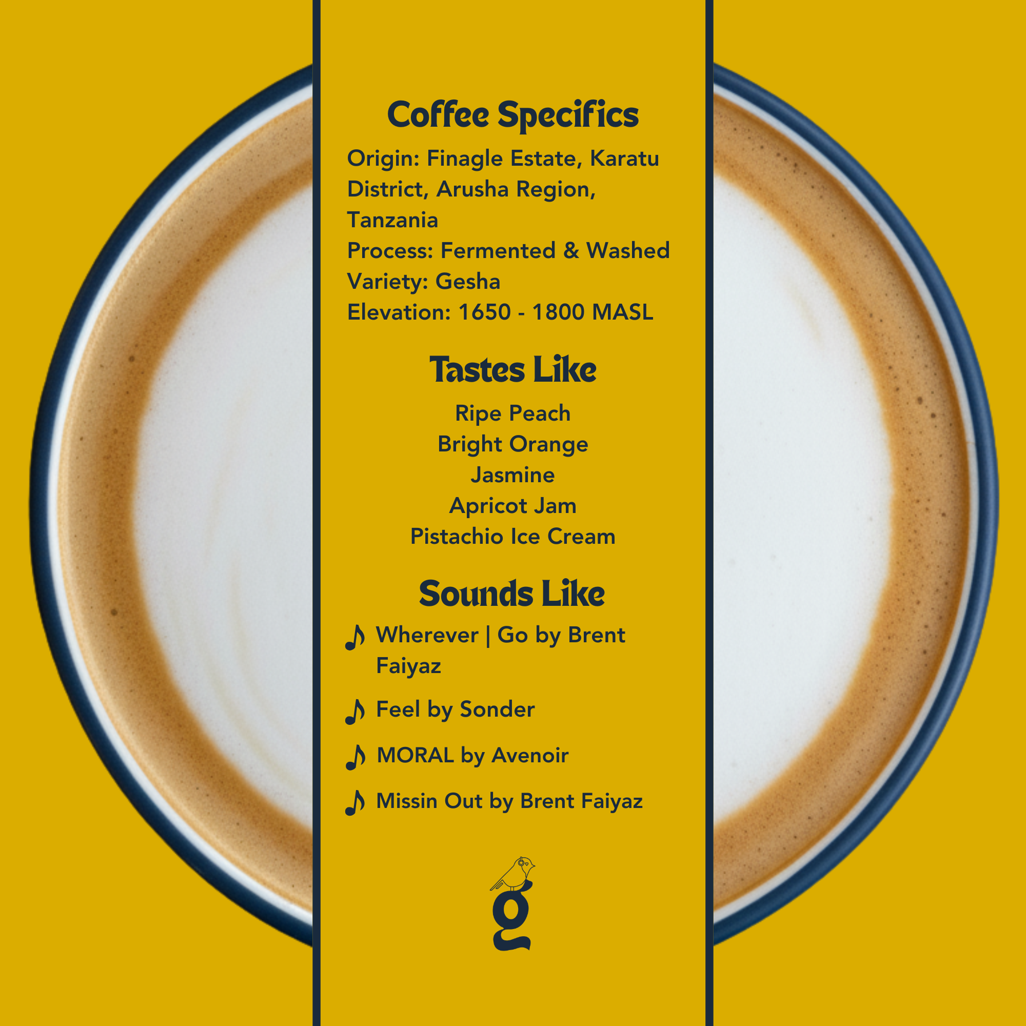 Neel & Kavita Vohora – Fermented & Washed Gesha - Tanzania