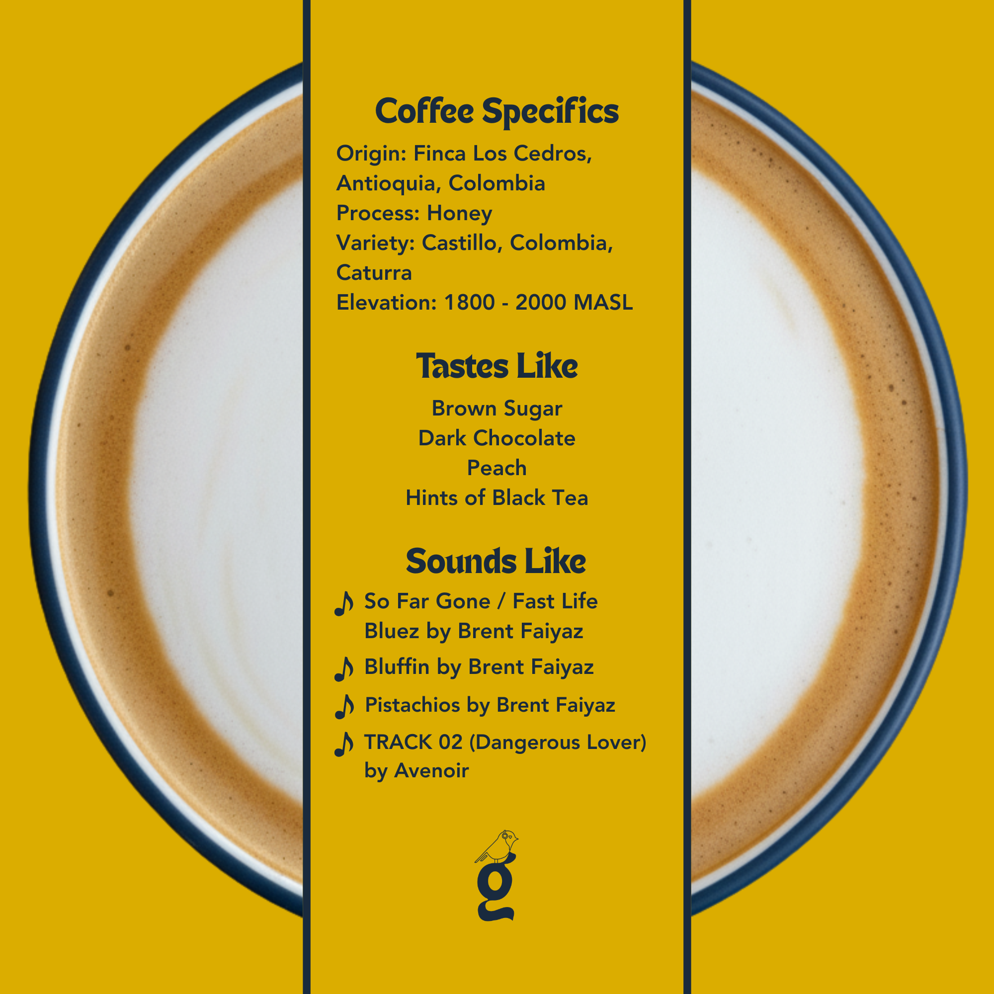 Juan David Builes – Black Honey Castillo / Caturra - Colombia