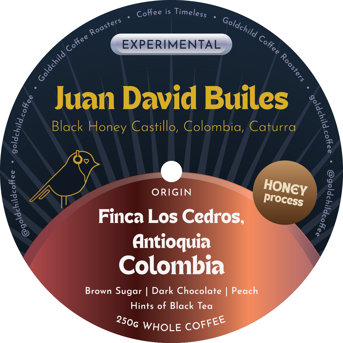 Juan David Builes – Black Honey Castillo / Caturra - Colombia