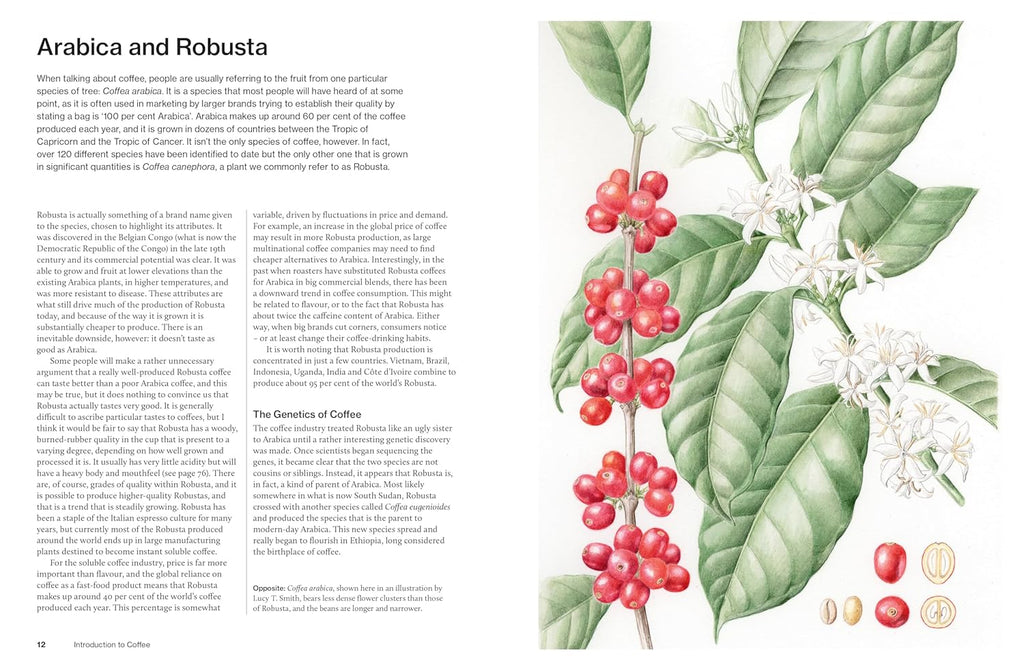 The World Atlas of Coffee Second Edition by James Hoffmann