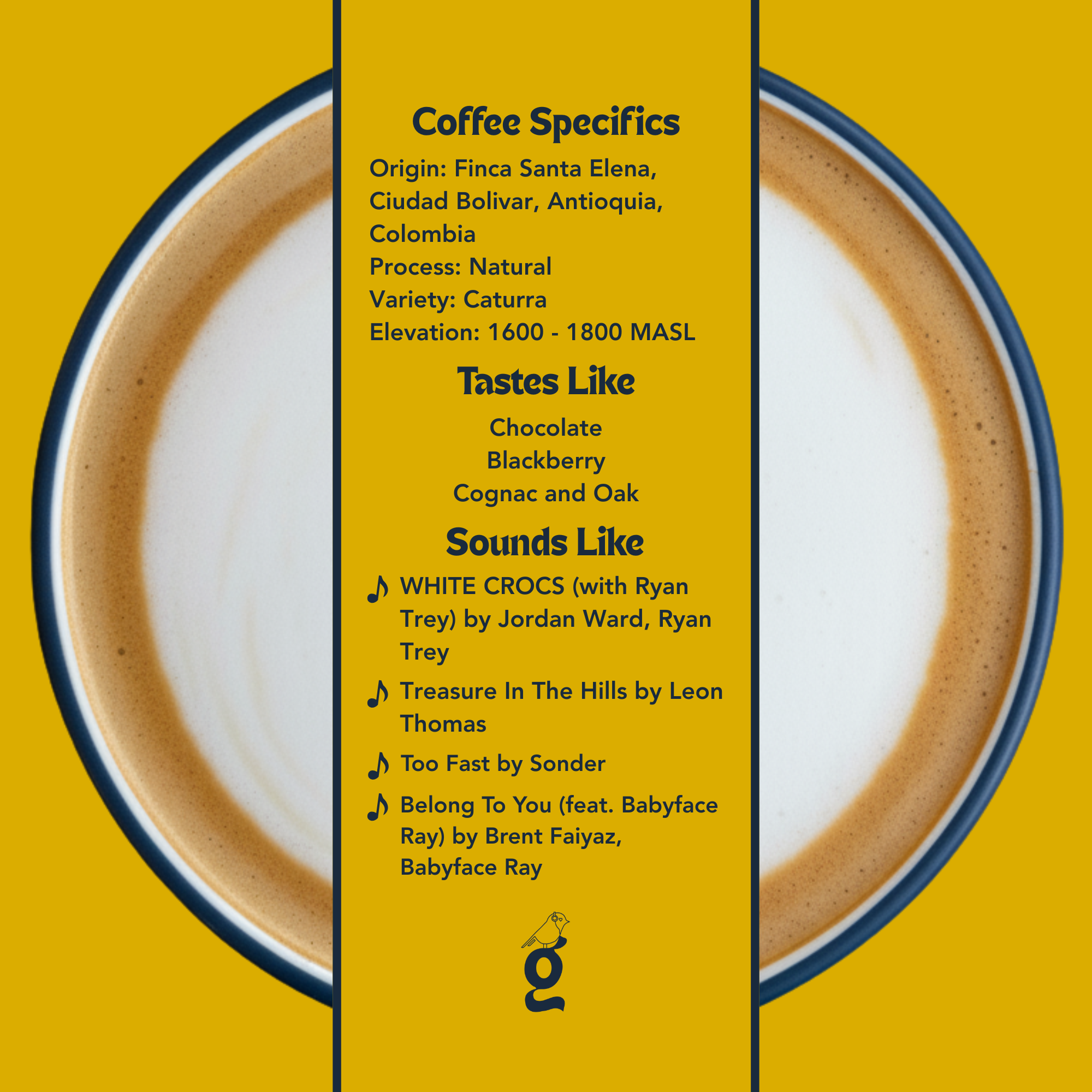 Paula Concha & Samuel Roldán – Natural Caturra - Colombia