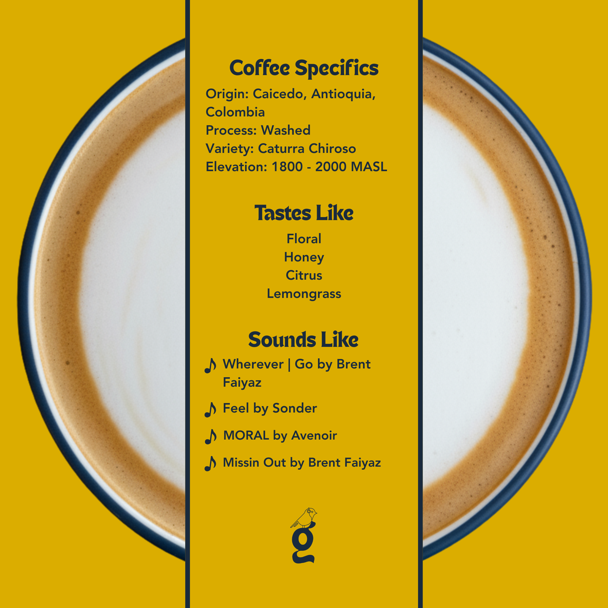 Elkin Diosa – Washed Caturra Chiroso - Colombia