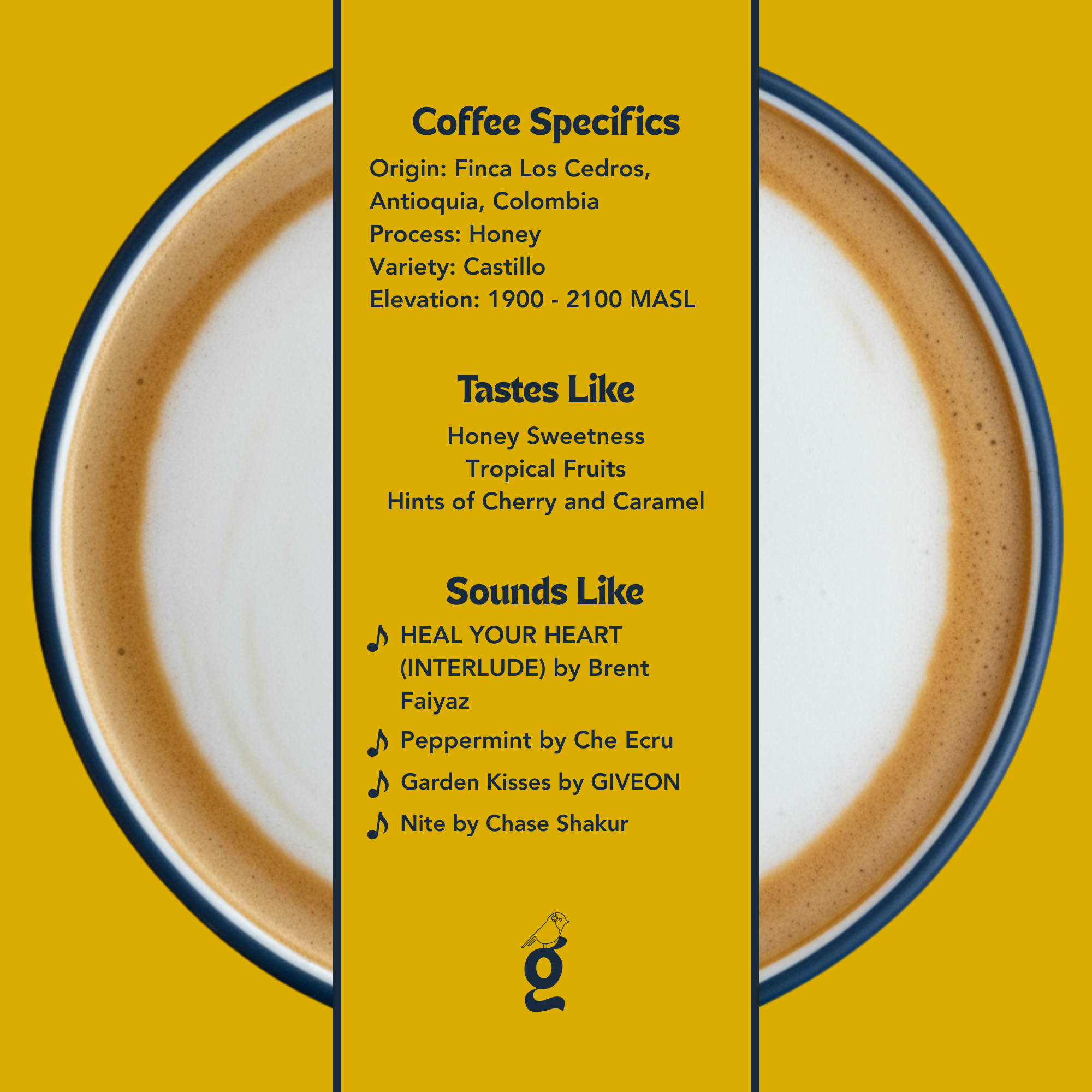 Juan David Builes – Yellow Honey Castillo - Colombia