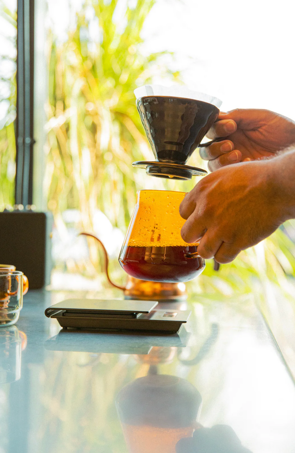 Hario Colors Tea & Coffee Server