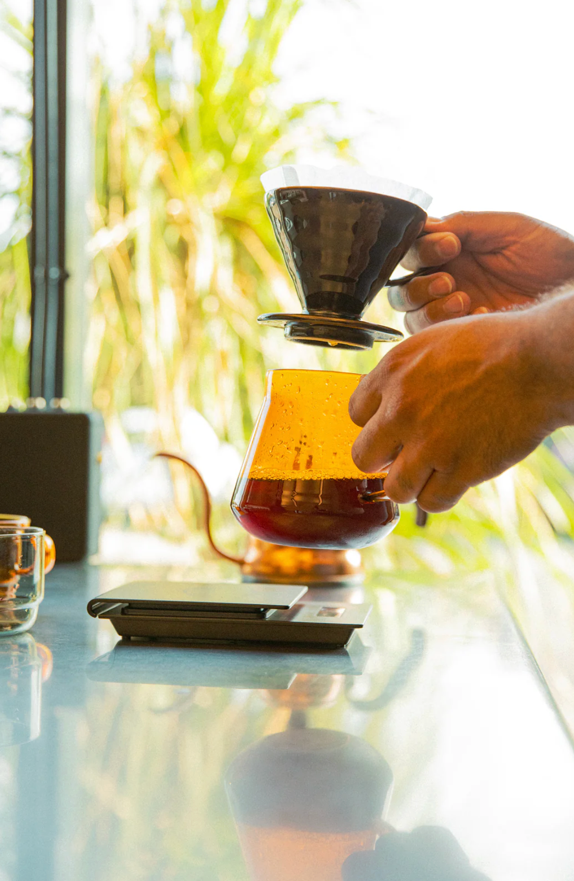 Hario Colors Tea & Coffee Server