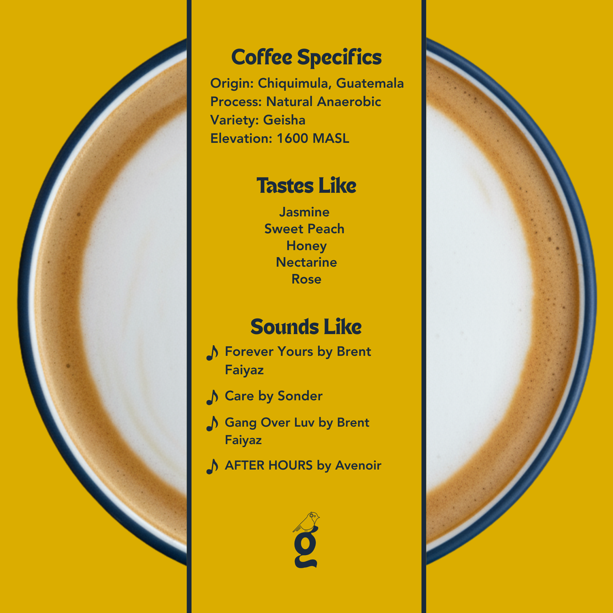 El Gigante Coffee Estate – Natural Anaerobic Geisha - Guatemala